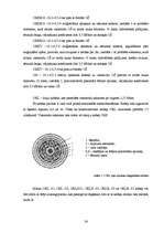 Referāts 'Šķiedru optiskā pārraides tīkla attīstība Latvijā', 22.