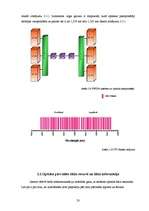 Referāts 'Šķiedru optiskā pārraides tīkla attīstība Latvijā', 31.
