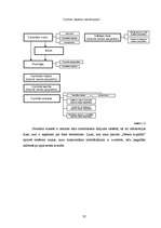 Referāts 'Šķiedru optiskā pārraides tīkla attīstība Latvijā', 35.
