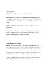 Konspekts 'Elpošanas sistēmas slimības', 4.