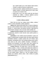 Referāts 'Riska faktori uzņēmējdarbībā', 17.