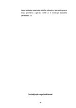 Referāts 'Riska faktori uzņēmējdarbībā', 31.