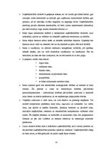 Referāts 'Riska faktori uzņēmējdarbībā', 32.