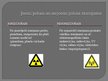 Prezentācija 'Radioaktivitāte', 6.