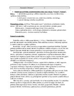 Prakses atskaite 'Kvalifikācijas eksāmena PII izvērstais konspekts', 8.