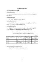 Biznesa plāns 'Biznesa plāns SIA "TīrTīre"', 6.