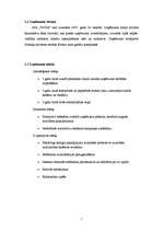 Biznesa plāns 'Biznesa plāns SIA "TīrTīre"', 7.