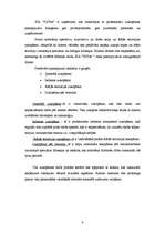 Biznesa plāns 'Biznesa plāns SIA "TīrTīre"', 9.