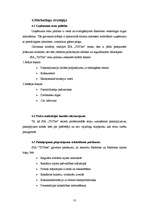 Biznesa plāns 'Biznesa plāns SIA "TīrTīre"', 13.