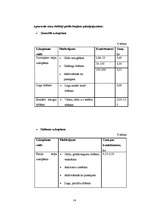 Biznesa plāns 'Biznesa plāns SIA "TīrTīre"', 16.