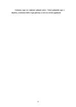 Biznesa plāns 'Biznesa plāns SIA "TīrTīre"', 23.