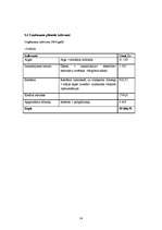 Biznesa plāns 'Biznesa plāns SIA "TīrTīre"', 26.