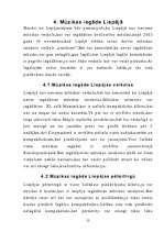 Referāts 'Mūzikas veikala nepieciešamība Liepājā', 14.