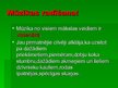 Prezentācija 'Mūzika', 3.