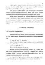 Referāts 'Triju Zvaigžņu ordeņa kavalieris Vilnis Gulbis', 21.