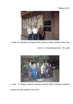 Referāts 'Triju Zvaigžņu ordeņa kavalieris Vilnis Gulbis', 35.