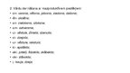 Prezentācija 'Pazīstamākie latviešu valodas kopēji 19.gadsimta beigās 20.gadsima sākumā', 7.