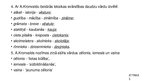 Prezentācija 'Pazīstamākie latviešu valodas kopēji 19.gadsimta beigās 20.gadsima sākumā', 9.