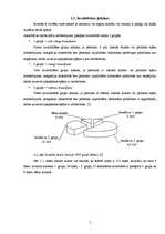 Referāts 'Valsts sociālie invaliditātes pabalsti', 5.