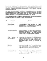 Referāts 'Emocionālie traucējumi bērniem', 4.