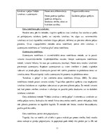 Referāts 'Uzņēmuma "Maxima" cenu stratēģija', 11.