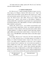 Referāts 'Uzņēmuma "Maxima" cenu stratēģija', 17.