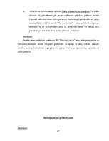 Referāts 'Uzņēmuma "Maxima" cenu stratēģija', 27.