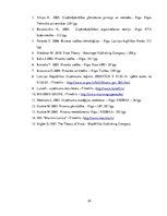 Referāts 'Uzņēmuma "Maxima" cenu stratēģija', 30.