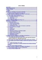 Referāts 'Vidrižu pagasta tūrisma attīstības stratēģija', 2.