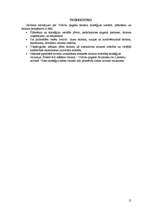 Referāts 'Vidrižu pagasta tūrisma attīstības stratēģija', 15.