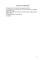 Referāts 'Vidrižu pagasta tūrisma attīstības stratēģija', 16.