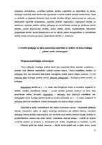 Diplomdarbs 'Starpinstitucionālā sadarbība sociālpedagoģiskajā darbā ar skolēniem un viņu emi', 31.