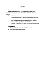 Prakses atskaite 'Profesionālās prakses "Uzņēmējdarbības uzsākšana" pārskats', 3.