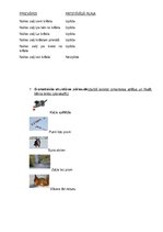 Prakses atskaite 'Bērna runas pārbaude', 7.