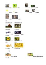 Prakses atskaite 'Bērna runas pārbaude', 8.