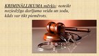 Prezentācija 'Tiesību jomas krimināltiesības', 7.