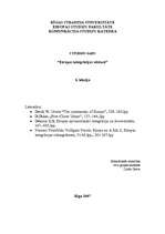 Konspekts 'Māstrihtas, Nicas un Amsterdamas līgumi', 1.