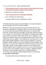 Eseja 'Mans viedoklis par šī brīža situāciju valstī', 2.