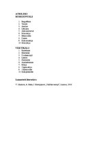 Konspekts 'Vadības teorija. Krustvārdu mīkla', 4.