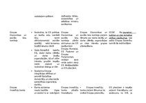 Konspekts 'Eiropas Savienības institūcijas', 6.