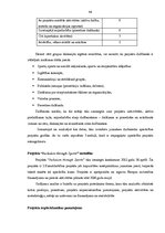 Diplomdarbs 'Projekta rokasgrāmatas izstrāde jaunatnes darbinieku apmācības programmai nevals', 44.