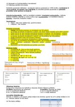 Konspekts 'Argumentācijas pamati', 4.