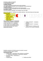 Konspekts 'Argumentācijas pamati', 5.