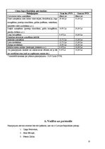 Biznesa plāns 'Pakalpojumu servisa centra izveide', 10.