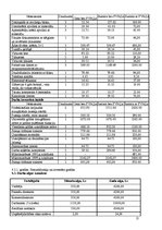 Biznesa plāns 'Pakalpojumu servisa centra izveide', 15.