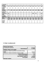 Biznesa plāns 'Pakalpojumu servisa centra izveide', 18.