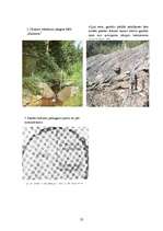 Referāts 'Mežu meliorācija', 22.