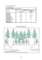 Referāts 'Mežu meliorācija', 24.