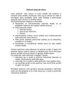 Referāts 'Pilsētu plānojuma struktūra', 1.