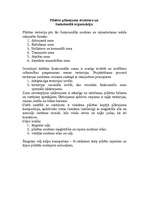 Referāts 'Pilsētu plānojuma struktūra', 2.